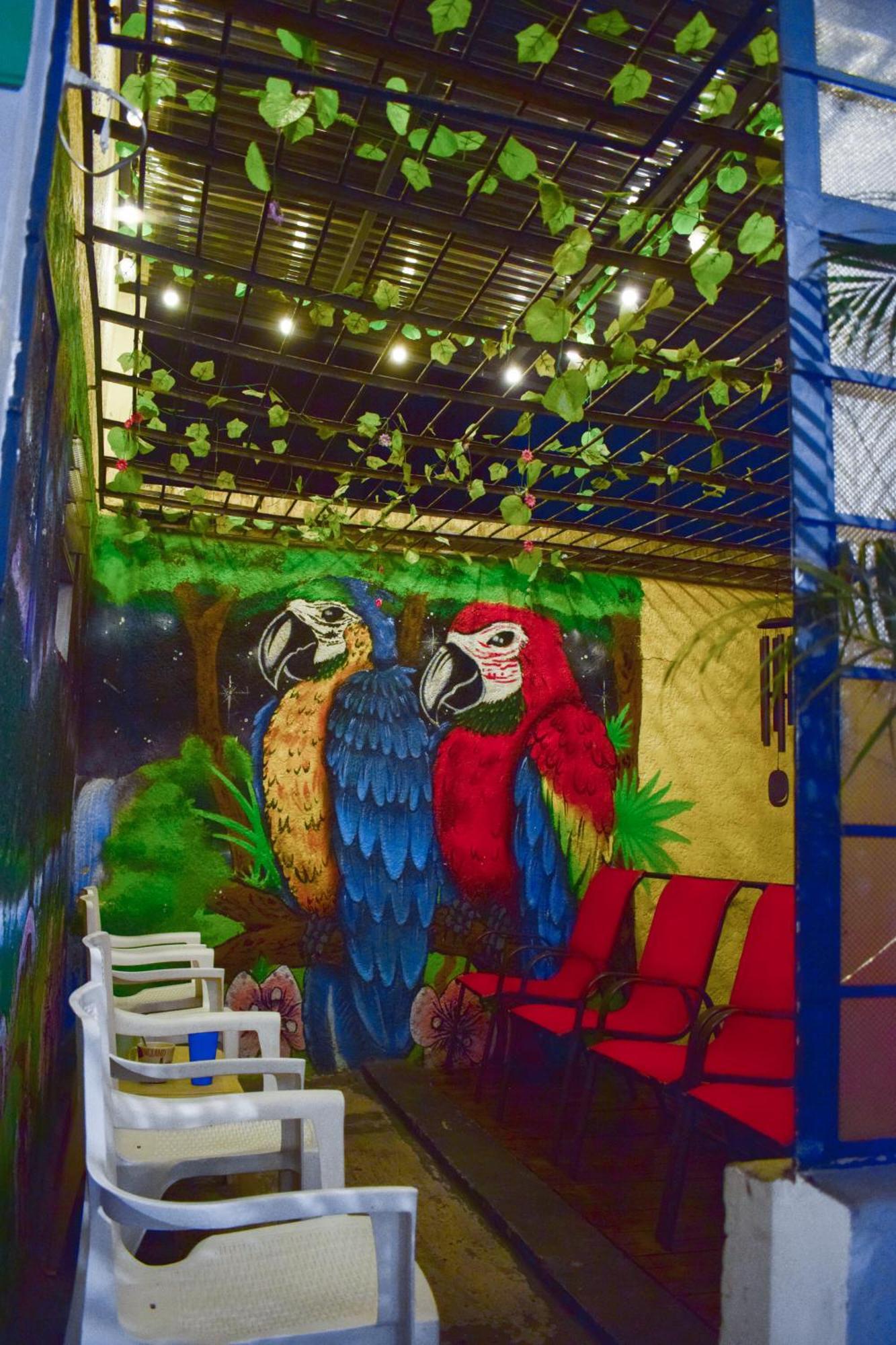 Key West Hostel Medellín Kültér fotó
